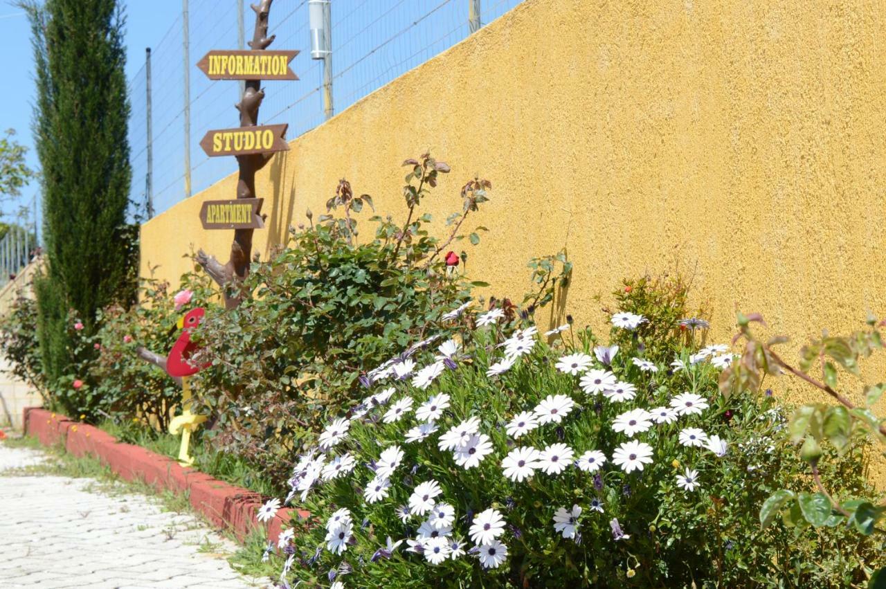 Acqui Villa Argostoli  Ngoại thất bức ảnh